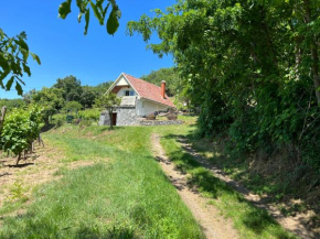 Vine Cottage